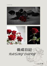 养成记2游戏