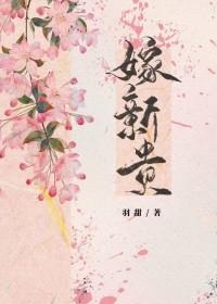 嫁新贵羽甜TXT盘