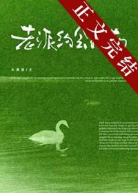 老派恋爱是什么样