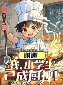 已成厨神是谁演