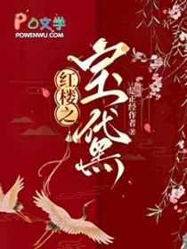 穿越红楼宠黛玉