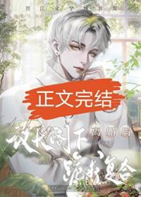 和联邦议长结婚后by长亭落雪txt