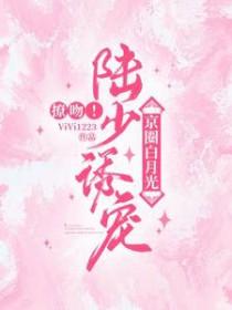 陆少攻略白月光免费阅读