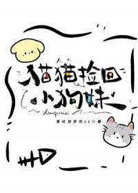 捡猫回来什么预兆风水