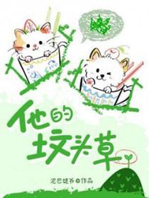 他的坟头草by泥巴姥爷txt