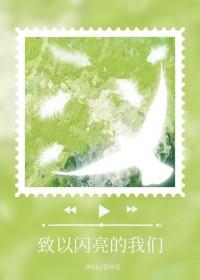 致以闪亮的我们晋江文学