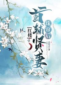红楼首辅贤妻珠帘后爱初会番外