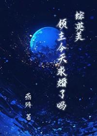 今天领主不在家无防盗