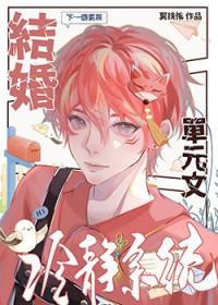 结婚冷静系统免费阅读