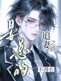 总裁追妻忙晏少别来无恙免费