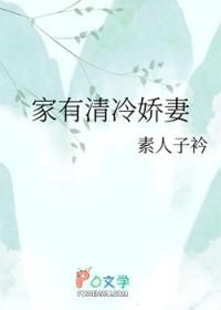 家有清冷娇妻作者素人子衿