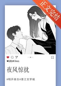 夜风惊扰txt笔趣阁