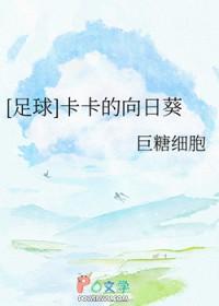 足球卡卡是哪个球队的