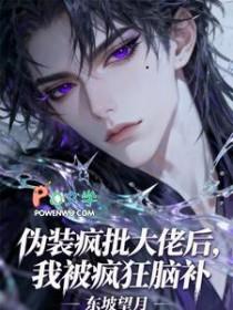 大佬伪装的