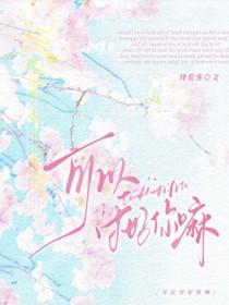 可以讨好你嘛英文