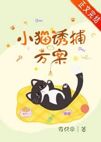 如何诱捕小奶猫