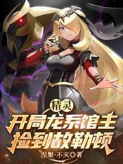 精灵开局龙系馆主捡到故勒顿TxT