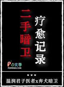 二手暗卫疗愈记录TXT目录
