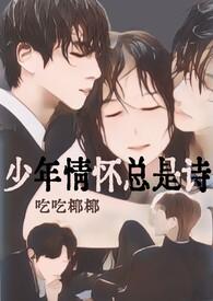 少年情怀总是诗合集