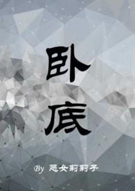 卧底大全