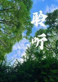 聆听(校园1v1)简介
